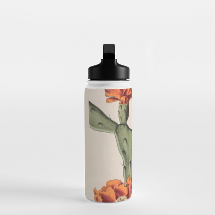 Botanical Cactus Water Bottle Gallery Image 3