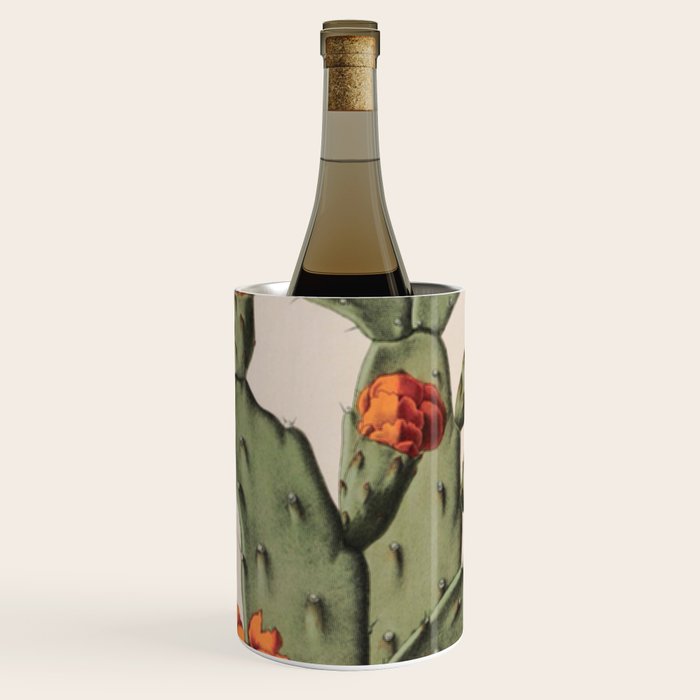 Botanical Cactus Wine Chiller Gallery Image 1