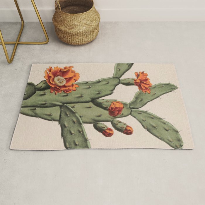 Botanical Cactus Rug Gallery Image 1