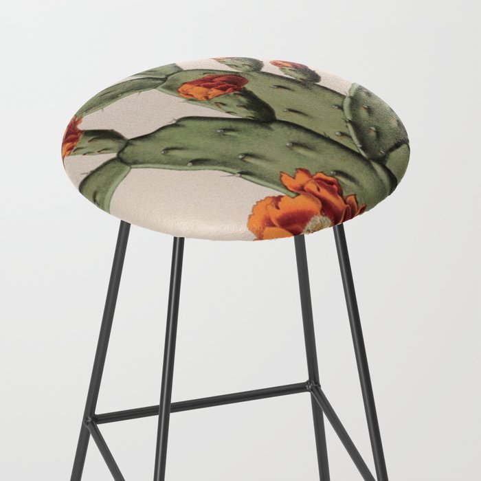 Botanical Cactus Stool Gallery Image 2