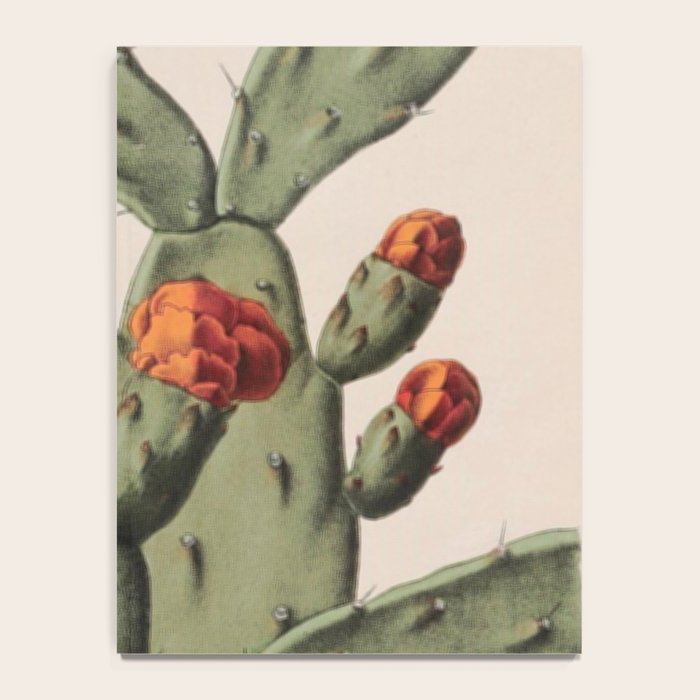 Botanical Cactus Notebook Gallery Image 4