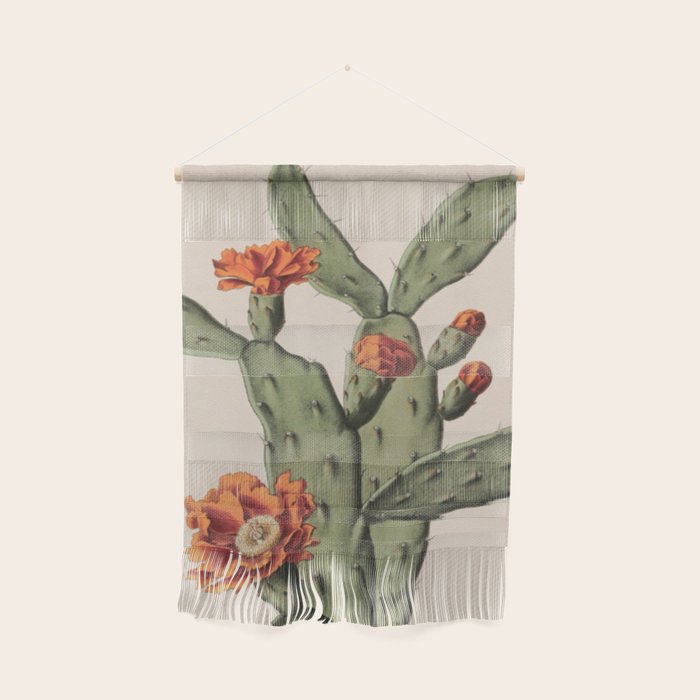 Botanical Cactus Wall Hanging Gallery Image 1