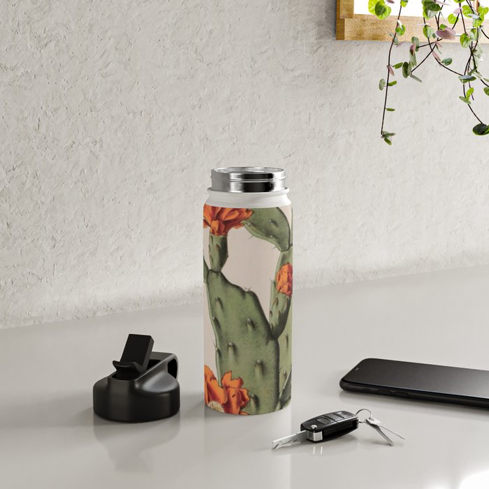 Botanical Cactus Water Bottle Gallery Image 4