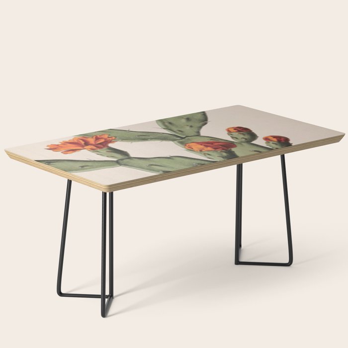 Botanical Cactus Coffee Table Gallery Image 1