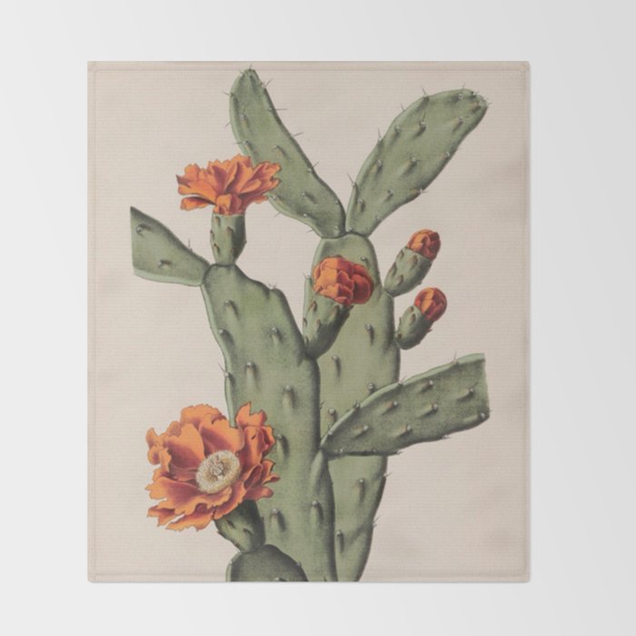 Botanical Cactus Throw Blanket Gallery Image 2