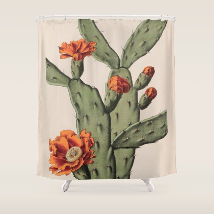 Botanical Cactus Shower Curtain Gallery Image 1