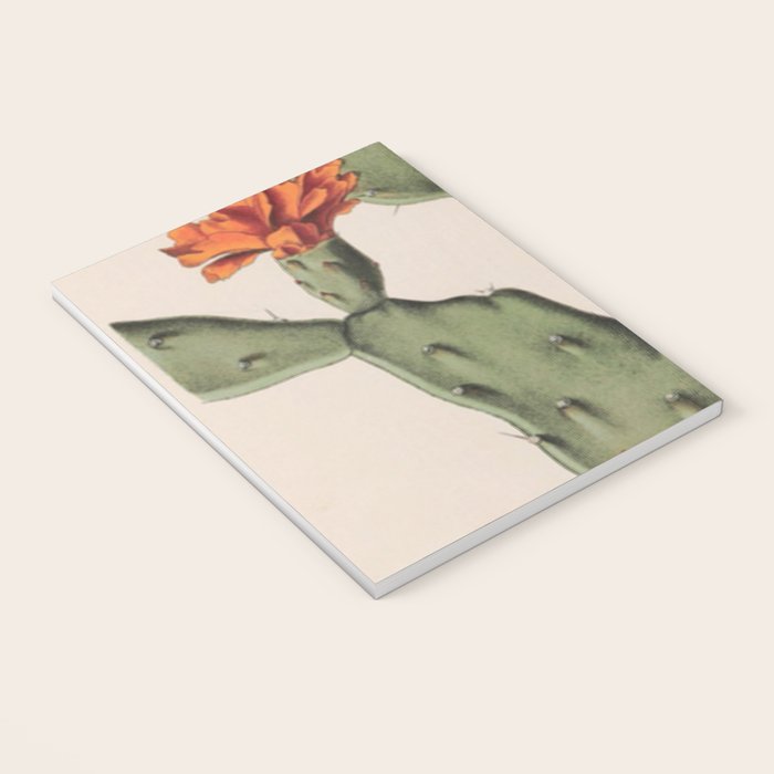 Botanical Cactus Notebook Gallery Image 3