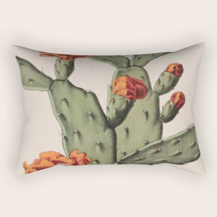 Botanical Cactus Rectangular Pillow Gallery Image 1