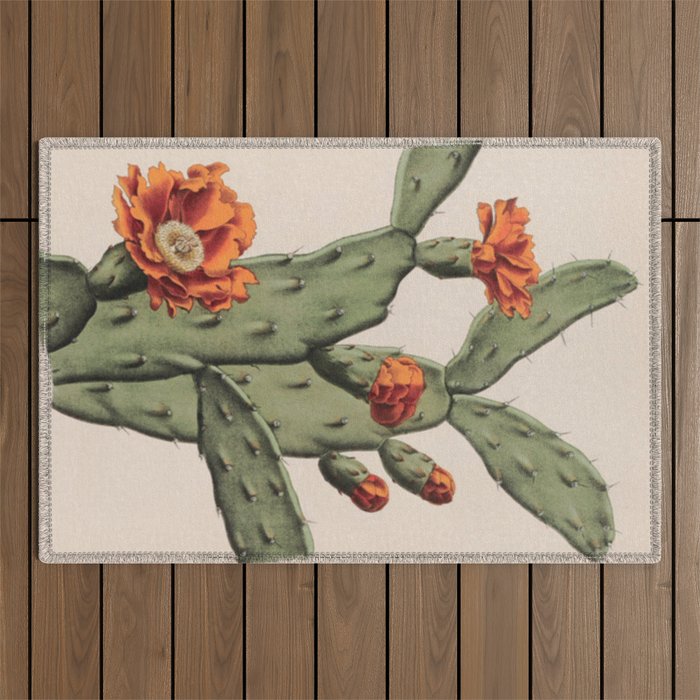 Botanical Cactus Outdoor Rug Gallery Image 1