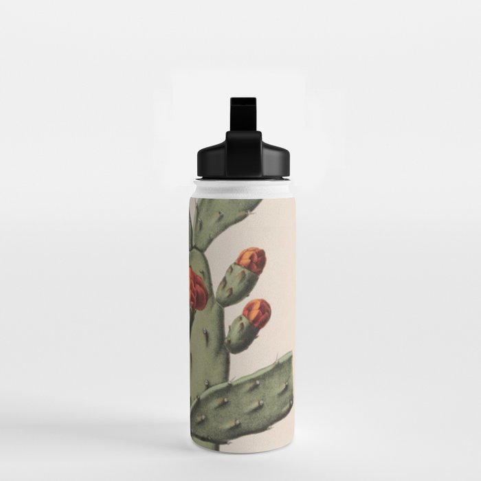 Botanical Cactus Water Bottle Gallery Image 2