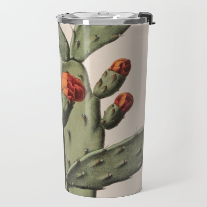 Botanical Cactus Travel Mug Gallery Image 2
