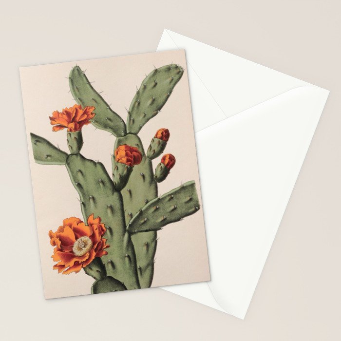 Botanical Cactus Stationery Card Gallery Image 2