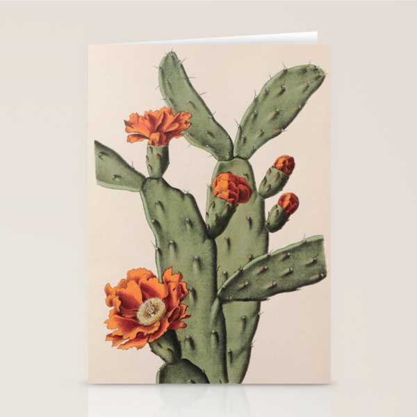 Botanical Cactus Stationery Card Gallery Image 2