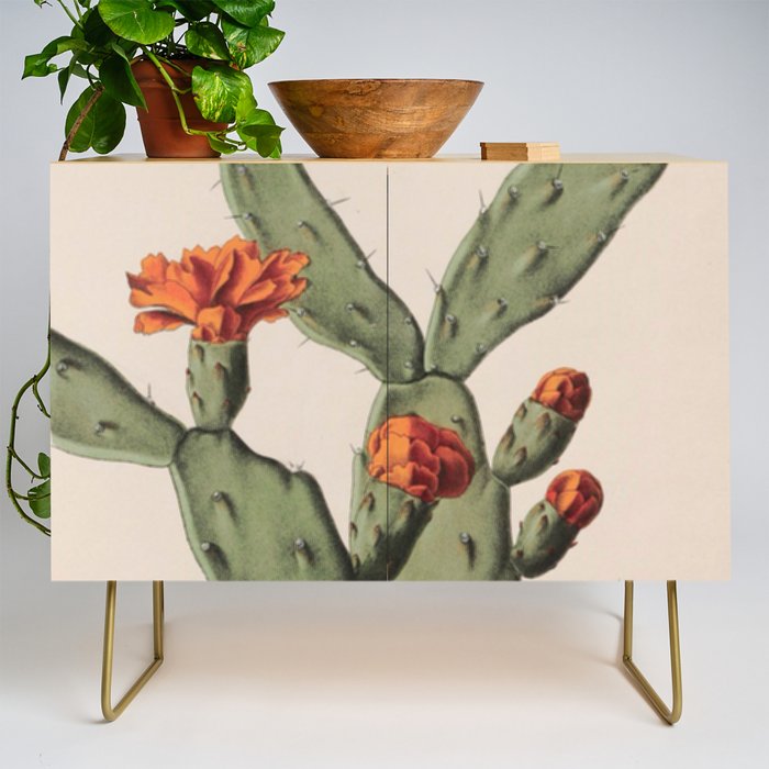 Botanical Cactus Credenza Gallery Image 1