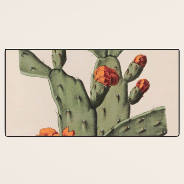 Botanical Cactus Desk Mat Gallery Image 3