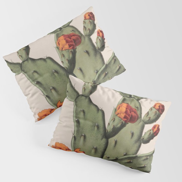 Botanical Cactus Pillow Sham Gallery Image 3