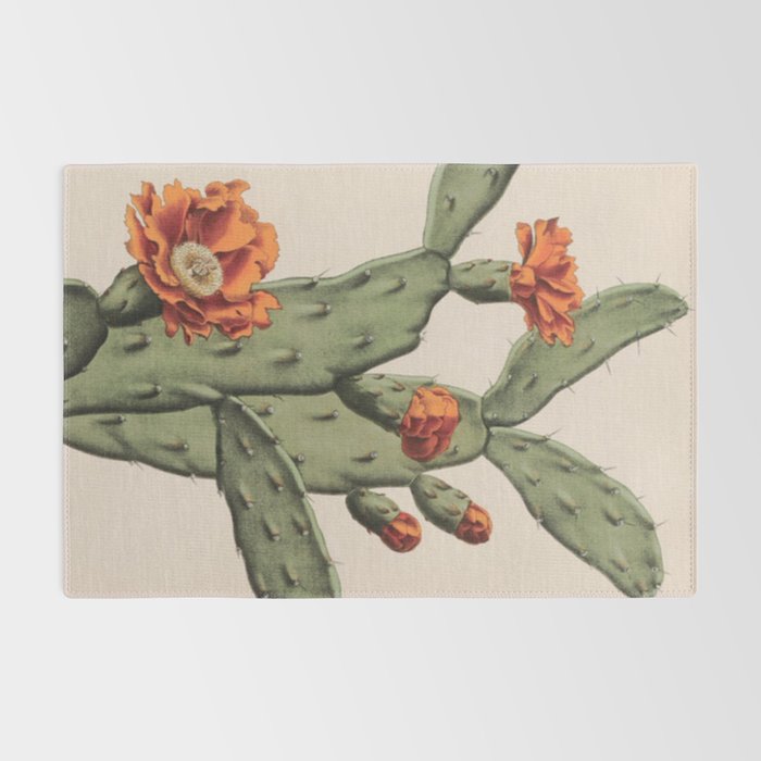 Botanical Cactus Rug Gallery Image 2