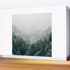Foggy Forest 3 Wall Mural Gallery Image 2