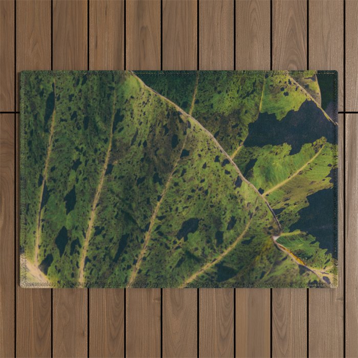 Elephant Ear Photo Study Outdoor Rug Gallery Image 1