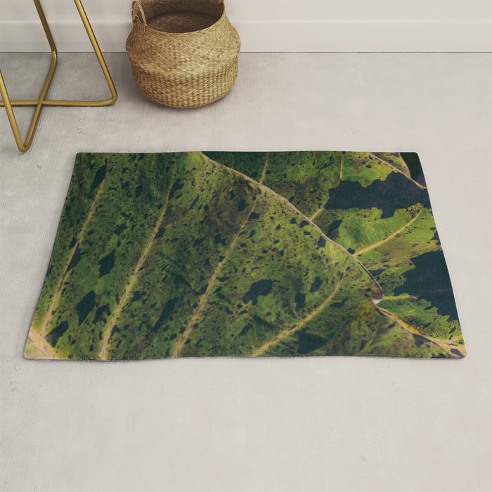 Elephant Ear Photo Study Rug Gallery Image 1