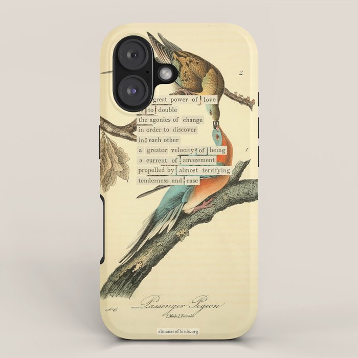 Bird Divinations: Passenger Pigeon (about: almanacofbirds.org) iPhone Case Gallery Image 1