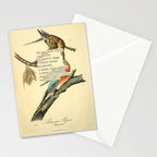 Bird Divinations: Passenger Pigeon (about: almanacofbirds.org) Stationery Card Gallery Image 2