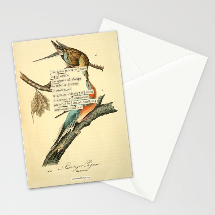 Bird Divinations: Passenger Pigeon (about: almanacofbirds.org) Stationery Card Gallery Image 2