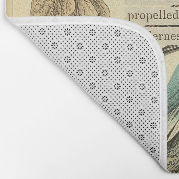 Bird Divinations: Passenger Pigeon (about: almanacofbirds.org) Bath Mat Gallery Image 2
