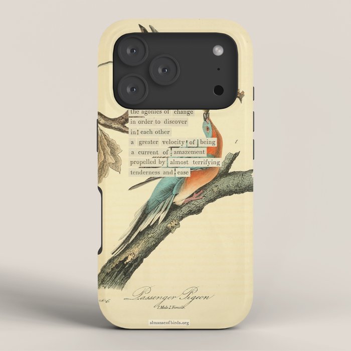 Bird Divinations: Passenger Pigeon (about: almanacofbirds.org) iPhone Case Gallery Image 3