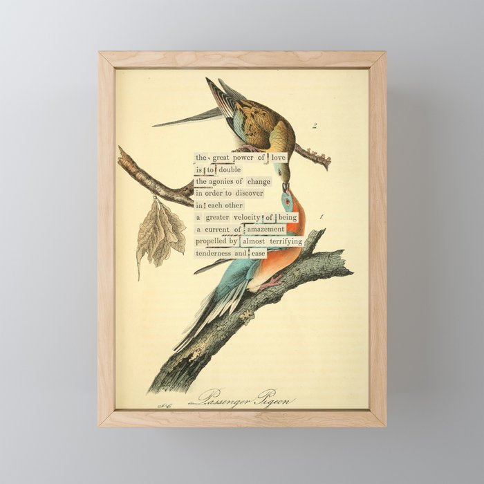 Bird Divinations: Passenger Pigeon (about: almanacofbirds.org) Mini Art Print Gallery Image 1