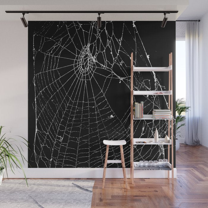 Spider Web Wall Mural Gallery Image 1
