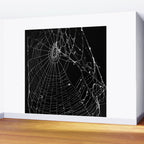 Spider Web Wall Mural Gallery Image 2