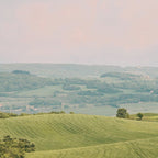 San Quirico d'Orcia, Fine Art Travel Photography Print, Tuscany Italy Coffee Mug Gallery Image 2