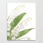 white lily of valley Notebook Gallery Image 4