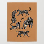 Black cheetah in sundial brown background  Poster Gallery Image 4