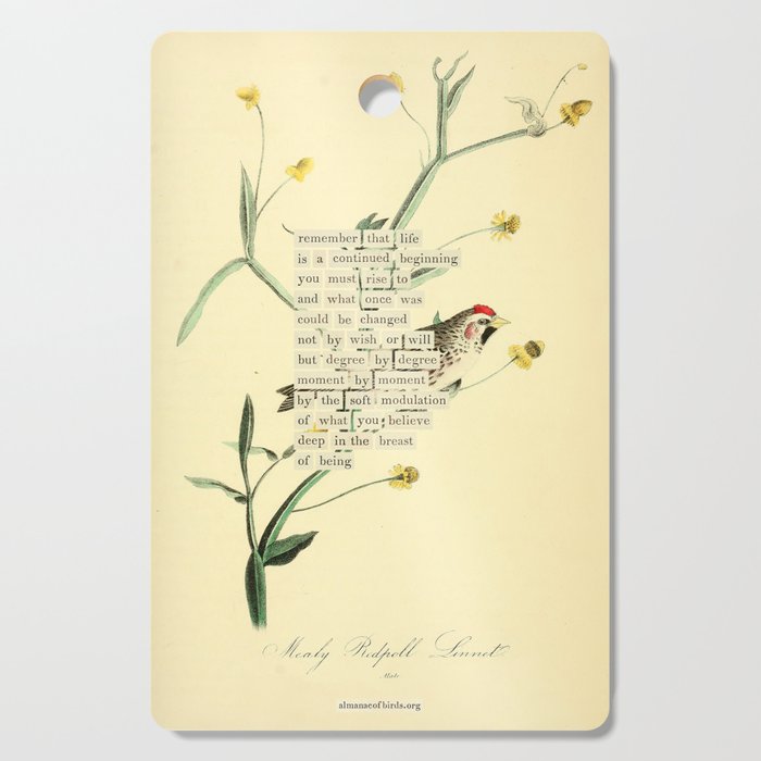 Bird Divinations: Mealy Redpole Linnet (about: almanacofbirds.org) Cutting Board Gallery Image 1