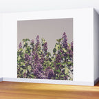 Wild Lilacs - spring floral nature photograph Wall Mural Gallery Image 2
