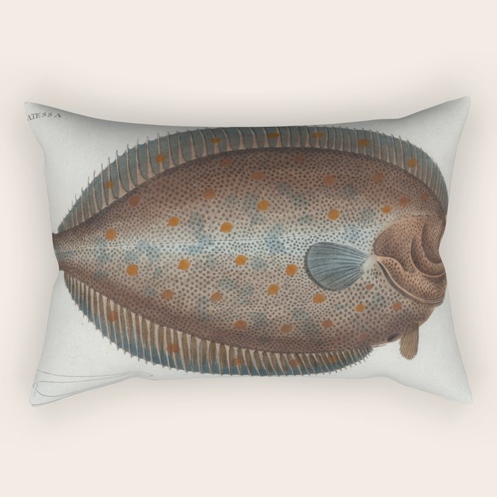 Vintage Illustration of a Flounder Fish (1785) Rectangular Pillow Gallery Image 1