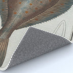 Vintage Illustration of a Flounder Fish (1785) Rug Gallery Image 4