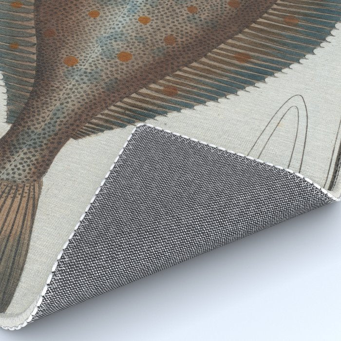 Vintage Illustration of a Flounder Fish (1785) Rug Gallery Image 4