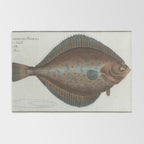 Vintage Illustration of a Flounder Fish (1785) Rug Gallery Image 2