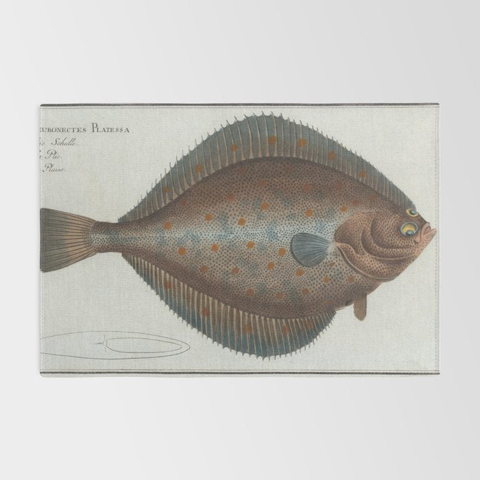 Vintage Illustration of a Flounder Fish (1785) Rug Gallery Image 2