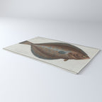 Vintage Illustration of a Flounder Fish (1785) Rug Gallery Image 3