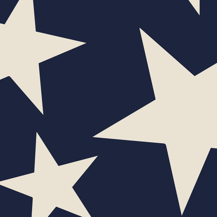 The Hamptons Big Ol' Stars Coffee Mug Gallery Image 2