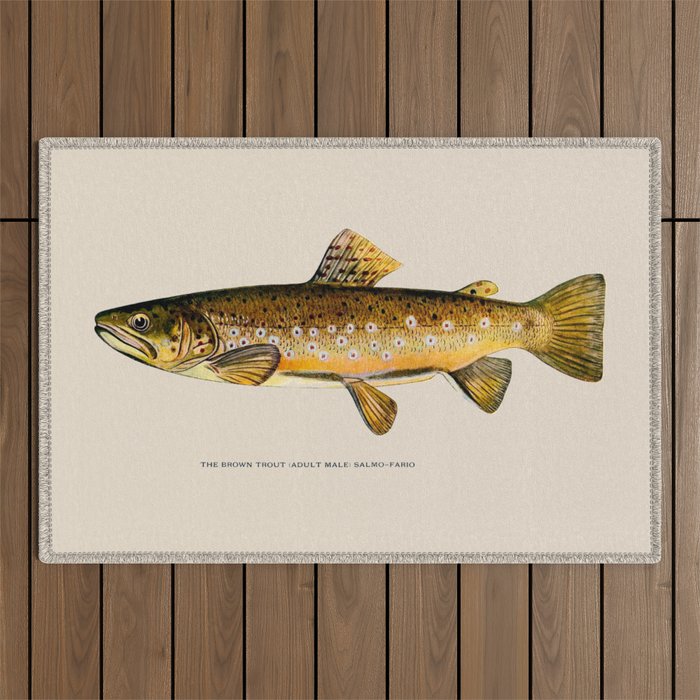 The Brown Trout Outdoor Rug Gallery Image 1