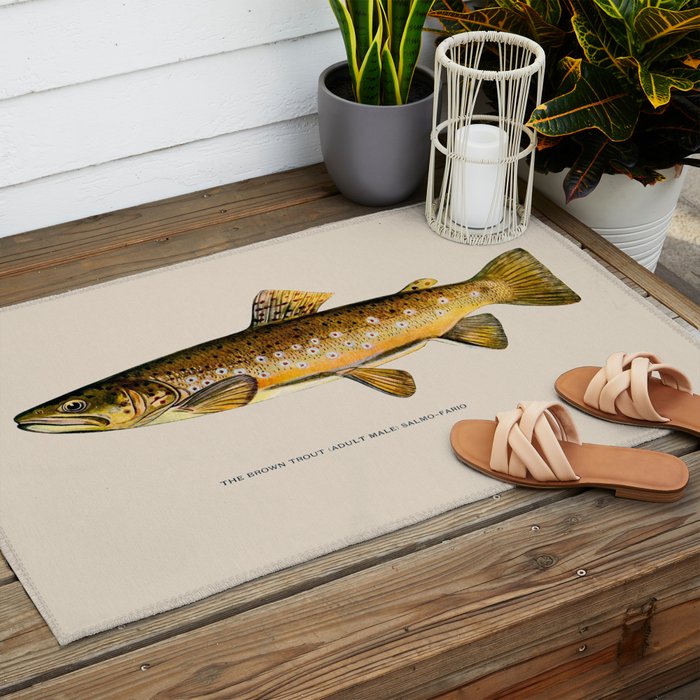 The Brown Trout Outdoor Rug Gallery Image 2