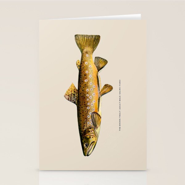 The Brown Trout Stationery Card Gallery Image 1