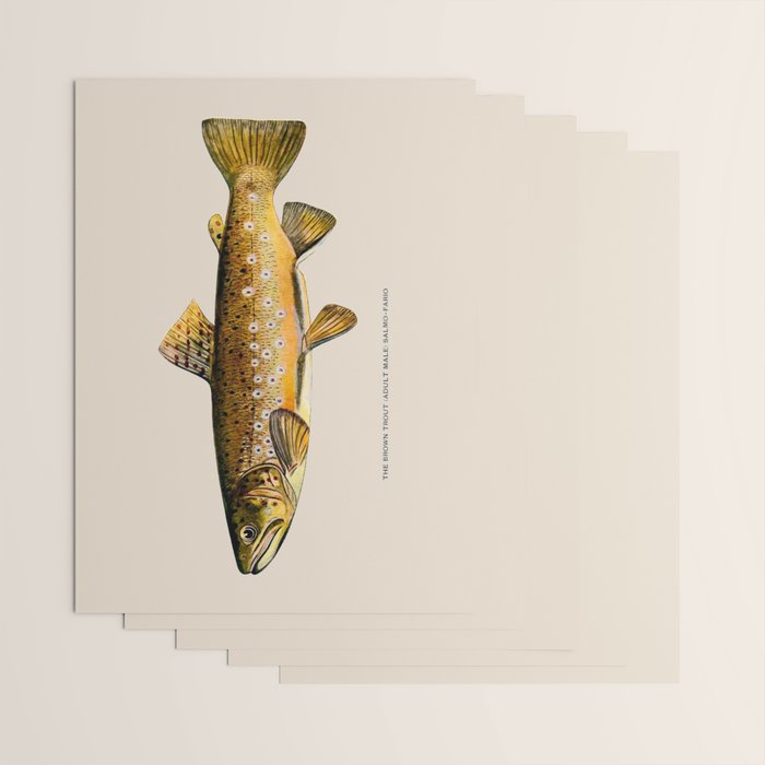 The Brown Trout Wrapping Paper Gallery Image 3