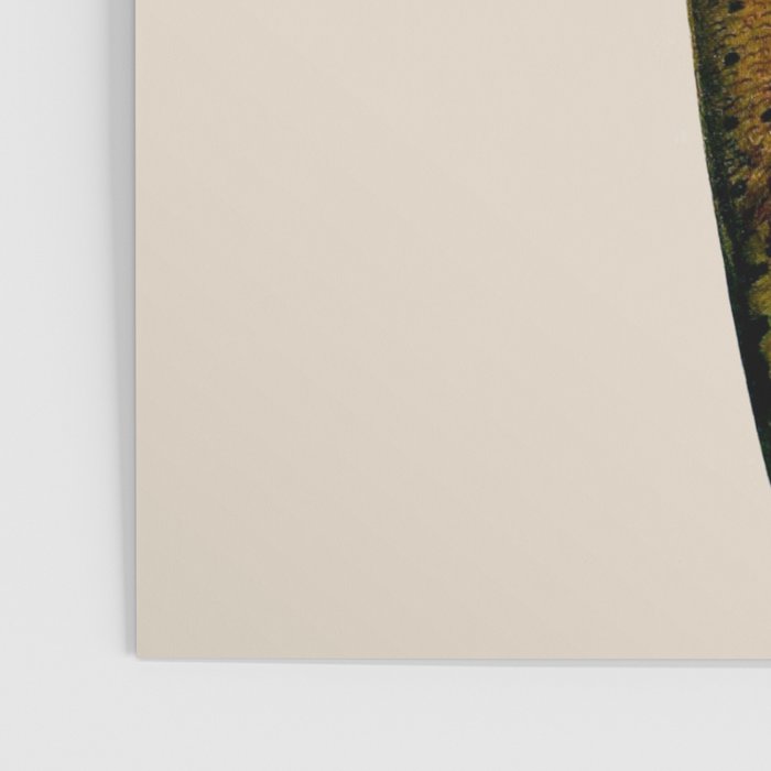 The Brown Trout Poster Gallery Image 3