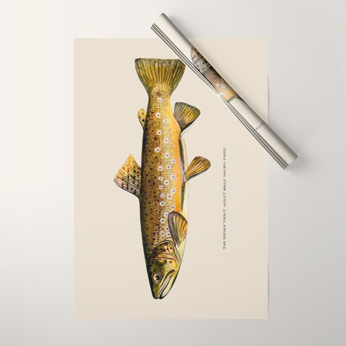 The Brown Trout Wrapping Paper Gallery Image 1